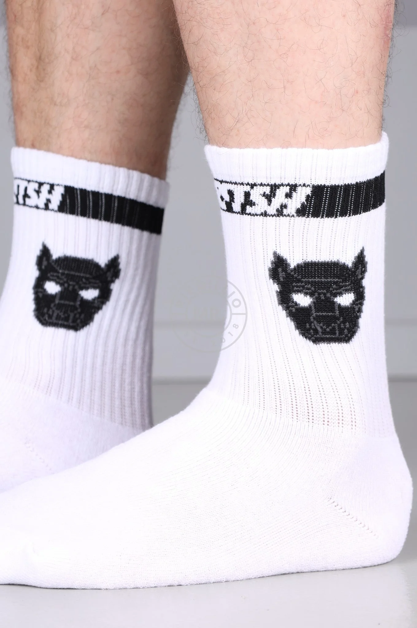 Image of PUPPY SOCKS