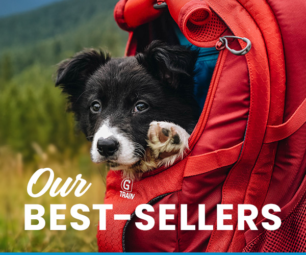 Our best-sellers