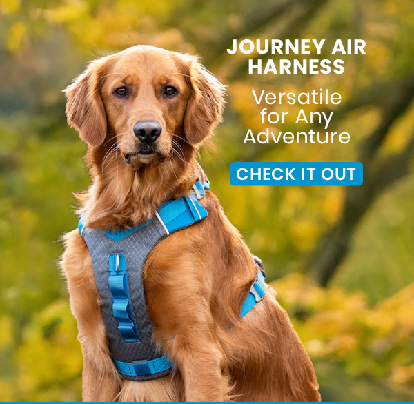 Journey Air Harness - Versatile for any adventure