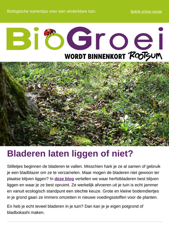 Herfstbladeren laten liggen of niet? | Tuintips november