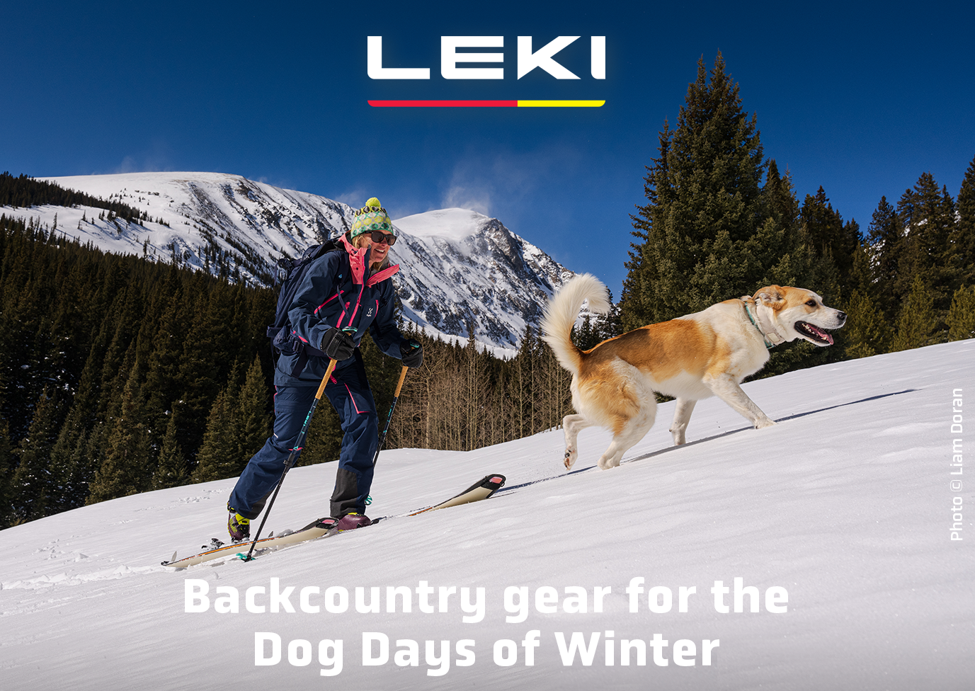 LEKI Winter Backcountry