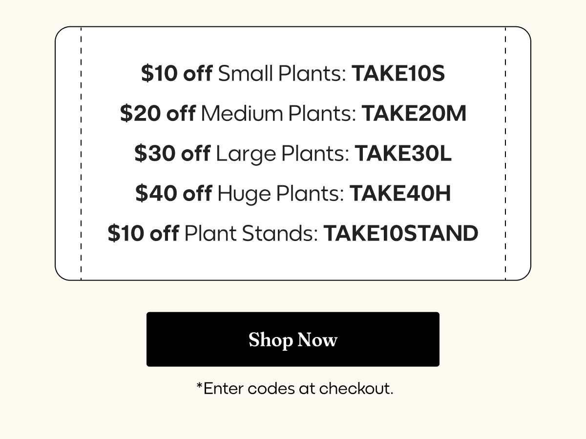 EasyPlant: JUST DROPPED: Black Friday Savings on All Plants   | Milled