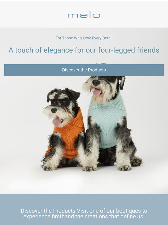 A Touch of Elegance for Our Four-Legged Friends