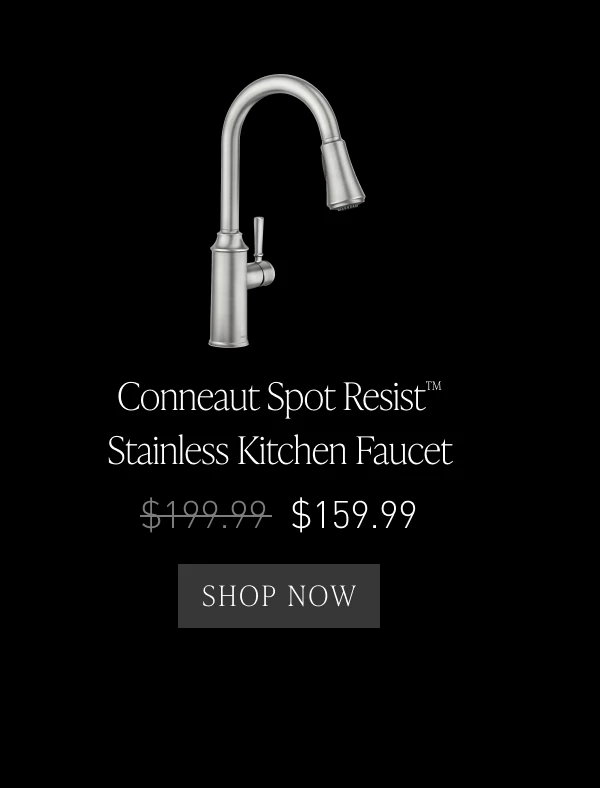 Conneaut Kitchen Faucet