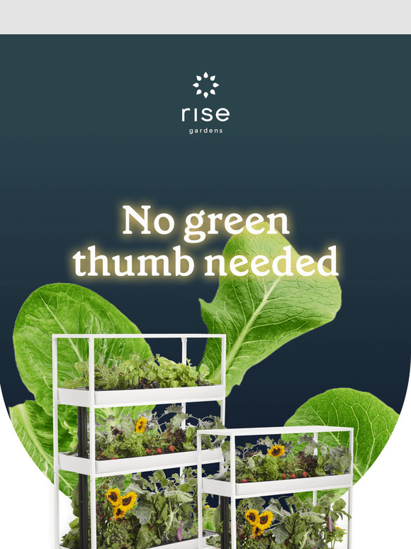 No Green Thumb Needed 🌿