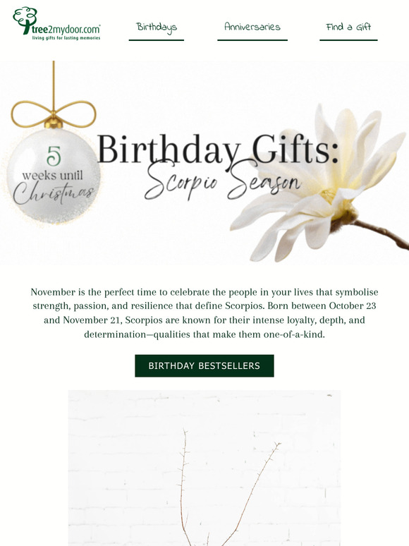 Make November Birthdays Extra Special 🎁 with Scorpio Gifts 🦂 & Pre-order Your Christmas Tree 🌲 Today!