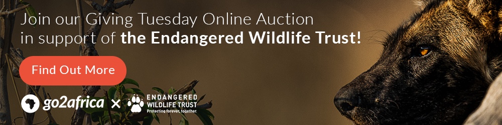 Join our Giving Tuesday Online Auction