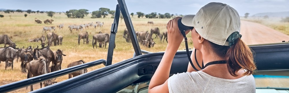 Game Drive