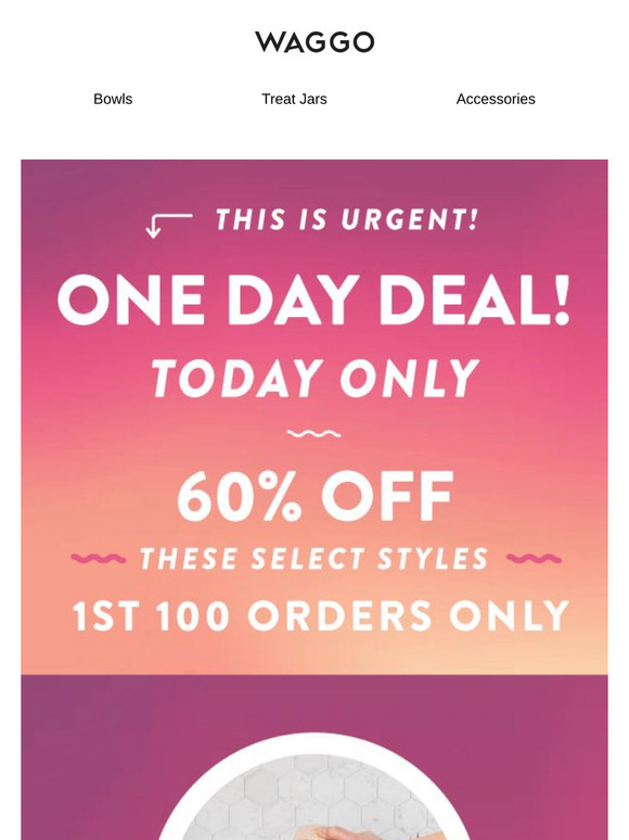 ONE DAY DEAL 🤩 🐶 60% OFF SELECT STYLES