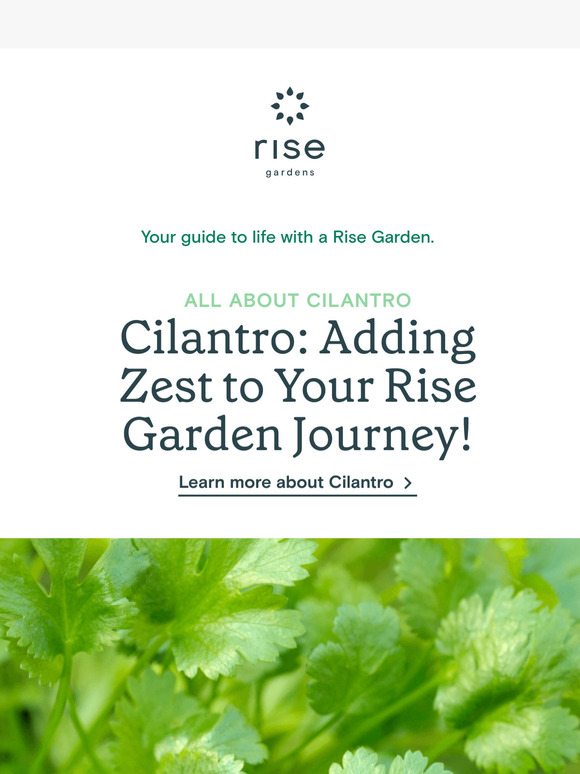 This Week at Rise Gardens Vol. 75 🌿