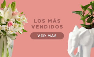 Más Vendidos
