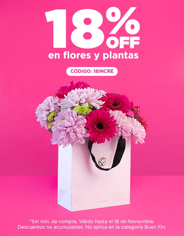 FLORES Y PLANTAS