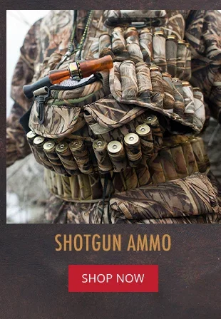Shotgun Ammo