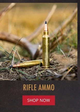 Rifle Ammo