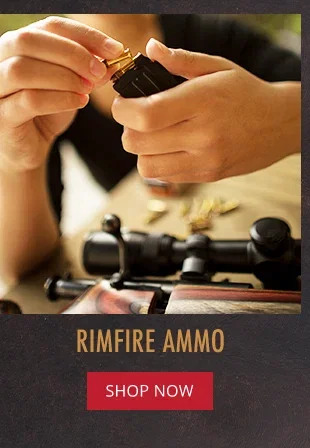 Rimfire Ammo