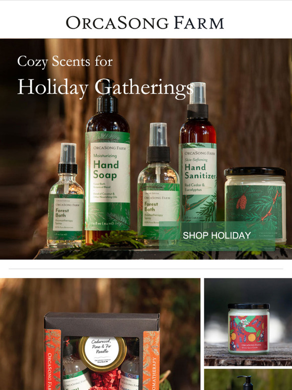 Cozy Scents for Holiday Gatherings