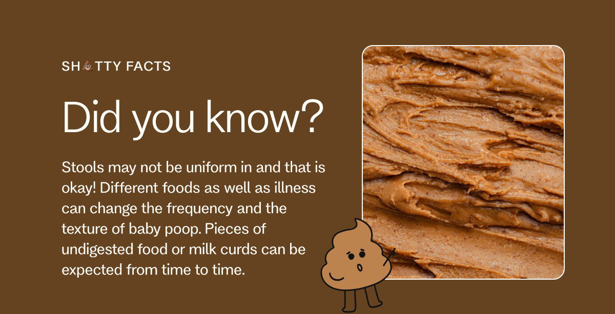 SH💩TTY FACTS Did you know? Stools may not be uniform in and that is okay! Different foods as well as illness can change the frequency and the texture of baby poop. Pieces of undigested food or milk curds can be expected from time to time.