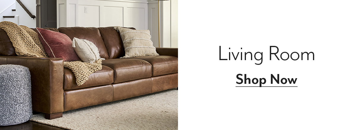Shop Living Room