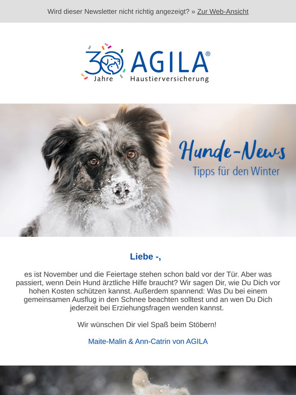 ➔ Entspannte Hundebegegnungen?🐕
