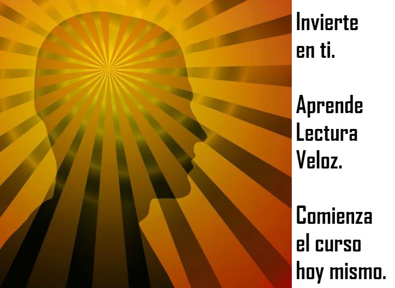 nilvem LOGO