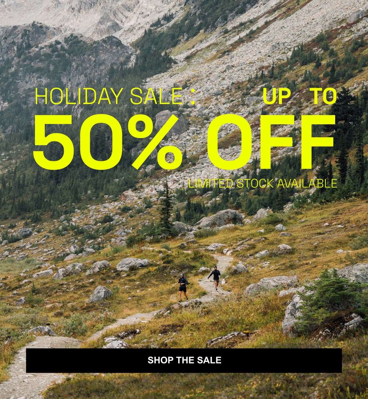 Holiday Sale