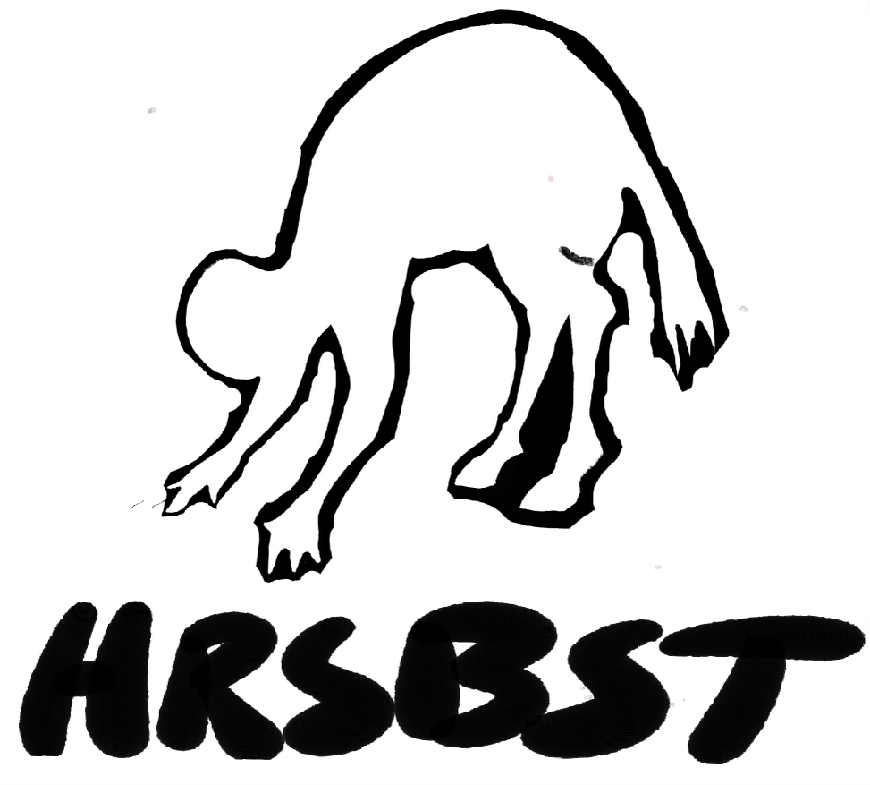 HRSBST bags