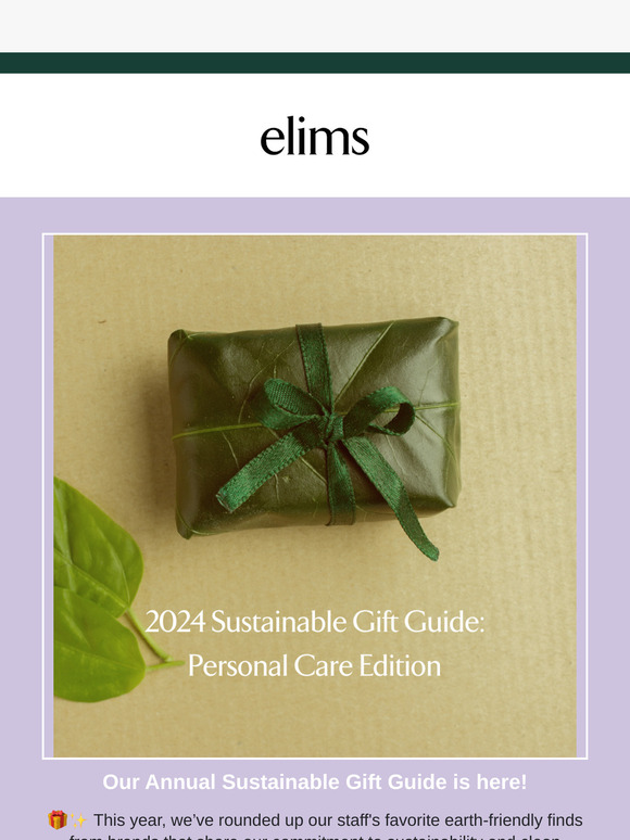 🌎How Can You Give the Gift of Sustainability This Year?