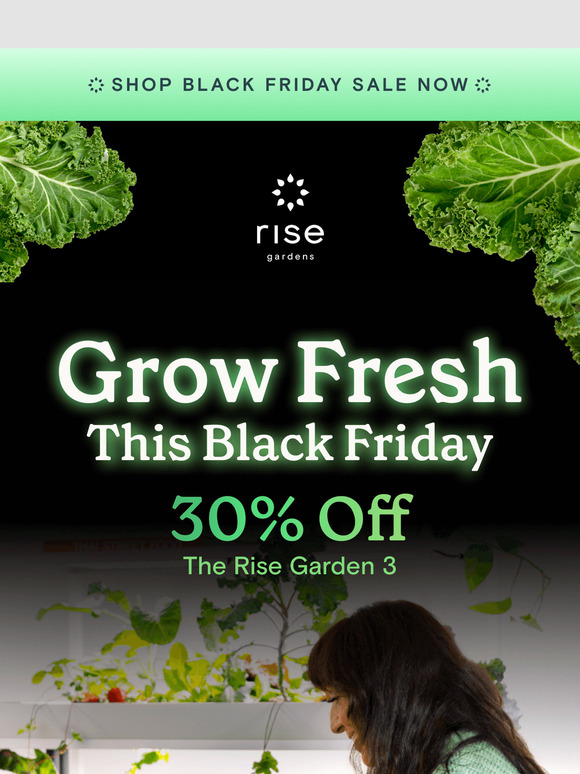Black Friday Deal: 30% Off Green Goodness! 🥬