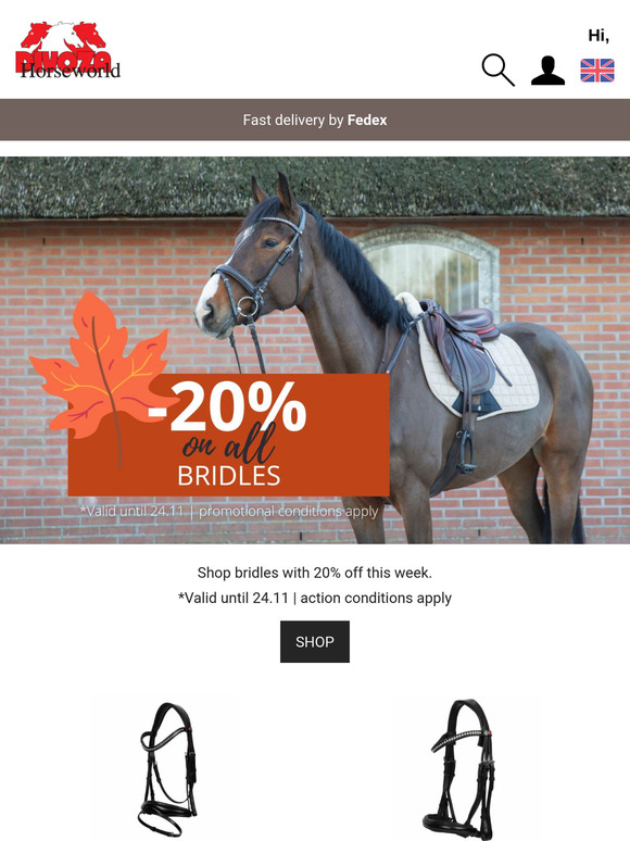 -20% on all bridles 🔥