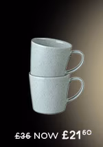 Teal Speckle Set Of 2 Mugs