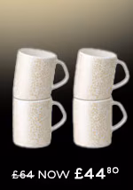 Porcelain Jasmine Set Of 4 Small Mugs