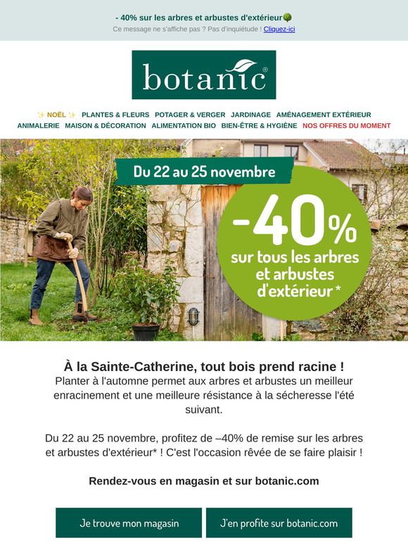 -40% sur les arbres et arbustes d'extérieur🌳