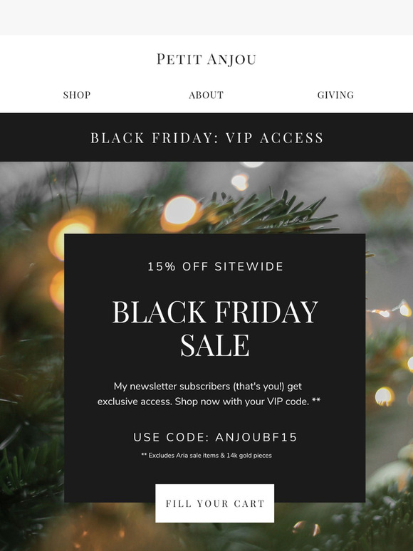 Exclusive access to my Black Friday Sale