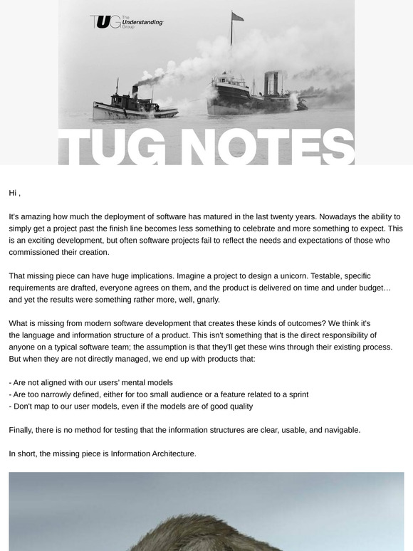 November TUG Notes - Is Information Architecture the Missing Piece?