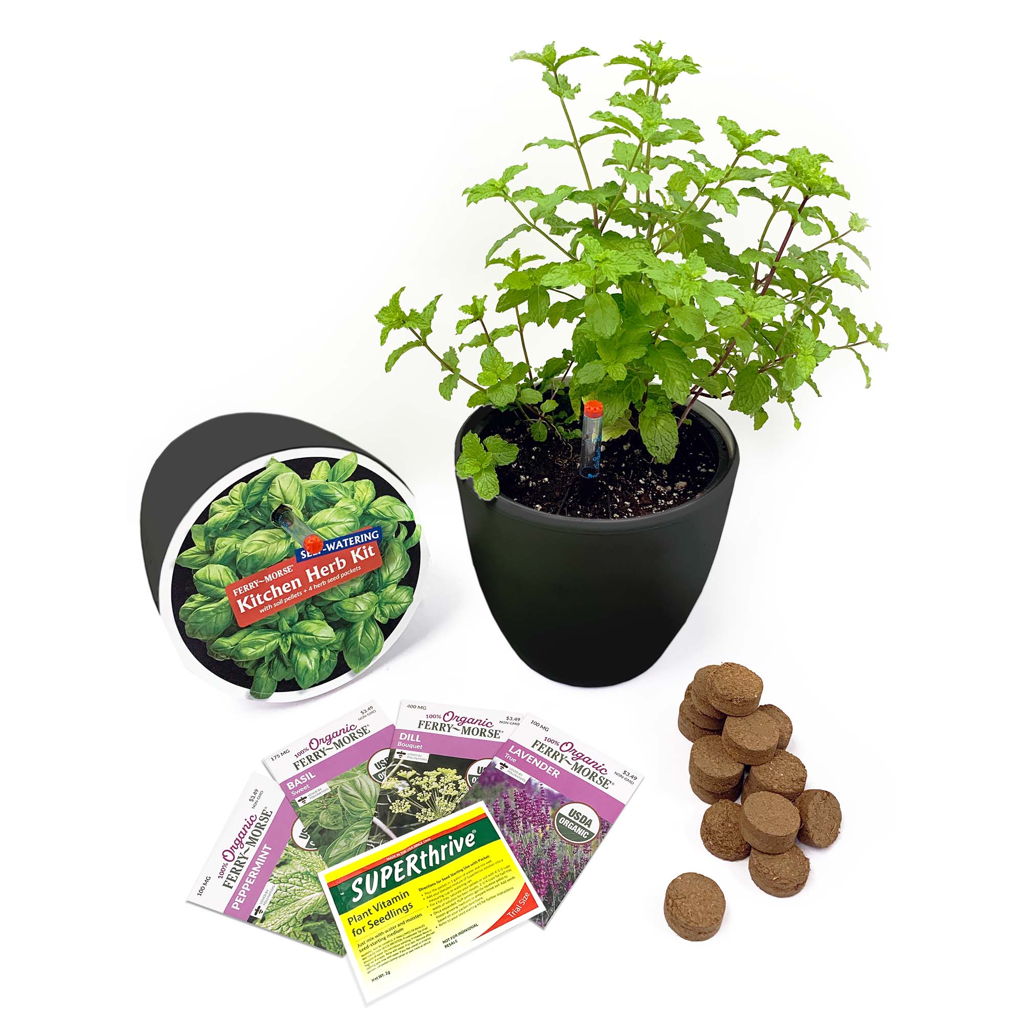 Image of Kitchen Herb Kit with 7" Self Watering Planter