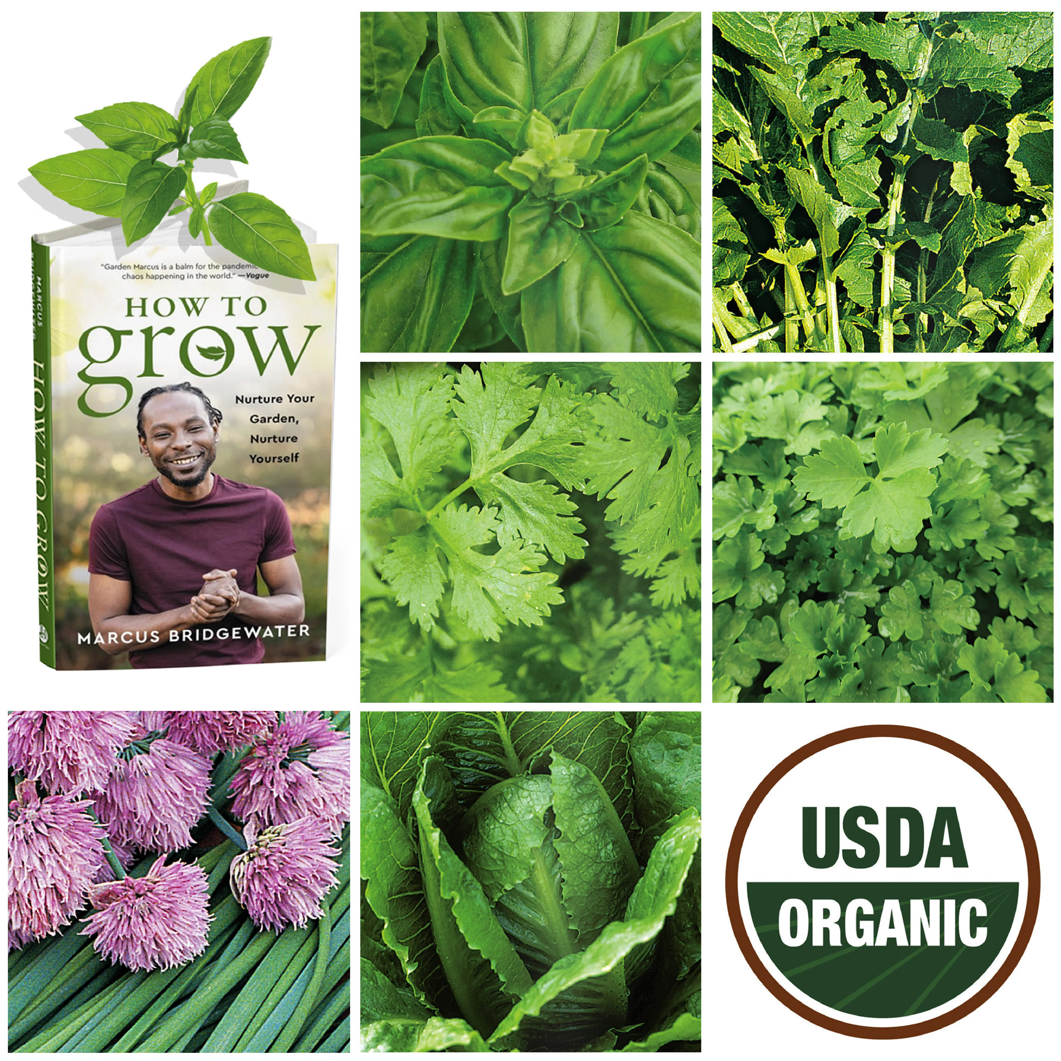 Image of "How to Grow" Book by Marcus Bridgewater & Ferry-Morse Organic Seeds Gift Set