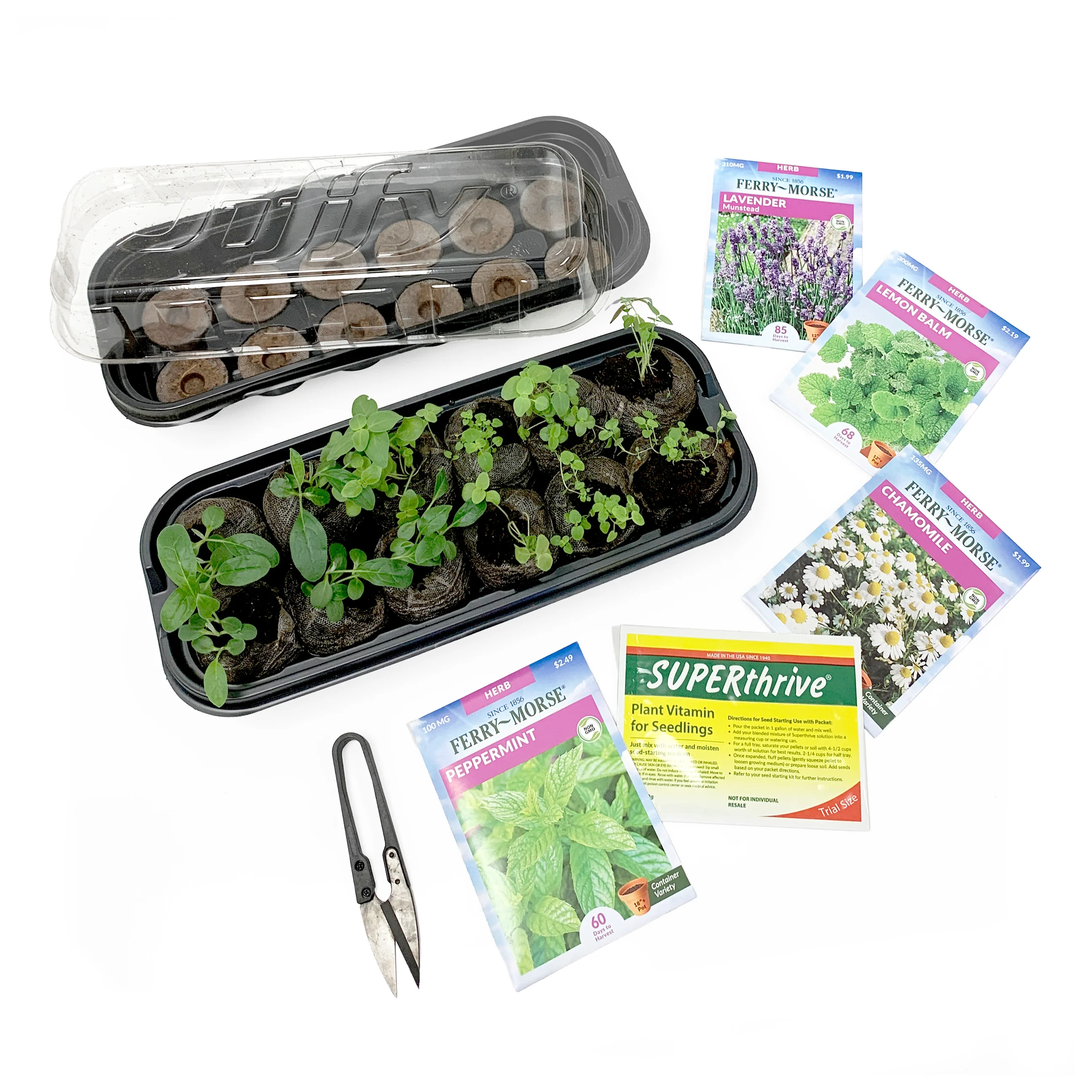 Image of Grow-Your-Own Tea Herb Garden Kit