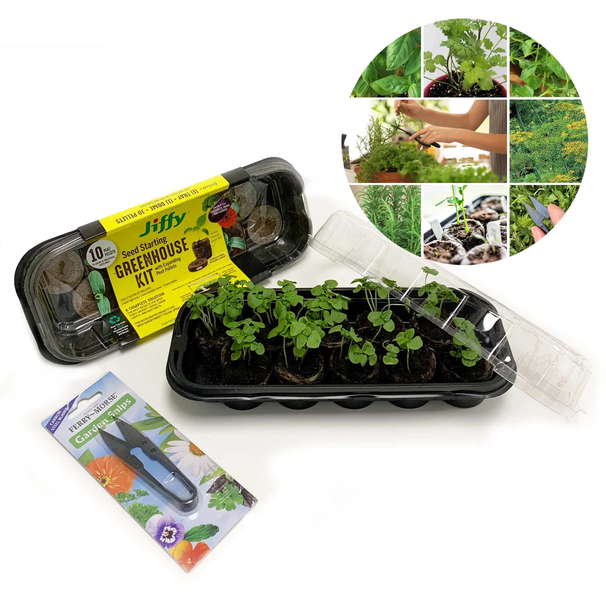 Image of Grow-Your-Own Herbs Windowsill Garden Kit