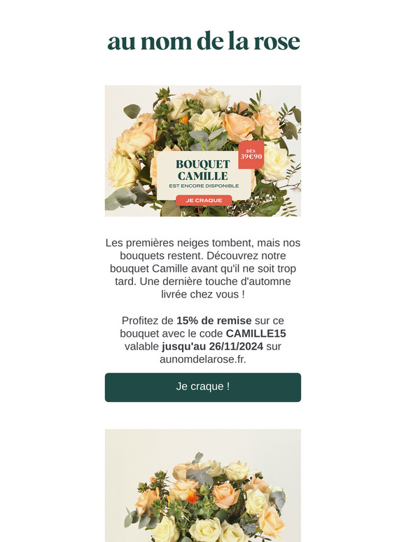 -15% sur le bouquet Camille! 💐