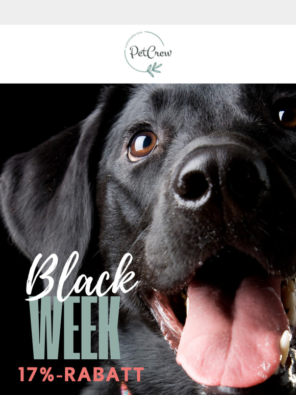 , Dein Hund fühlt es schon: 17% Black-Week-Rabatt! 🖤🐩