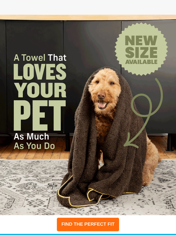 We ❤️ Your Four-Legged Friends!