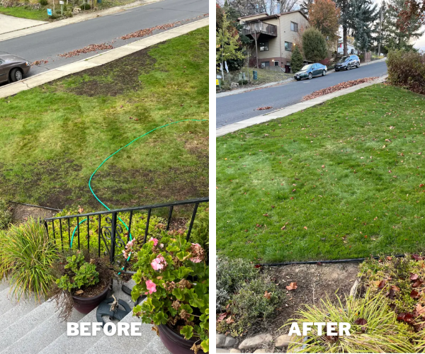 Get 25% off custom lawn plan
