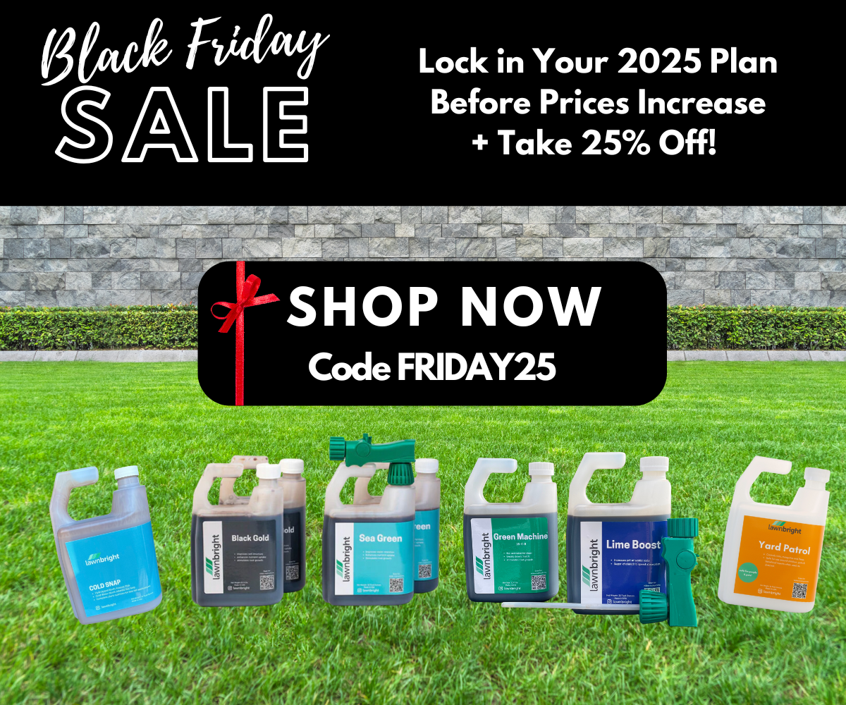 Get 25% off with code FRIDAY25