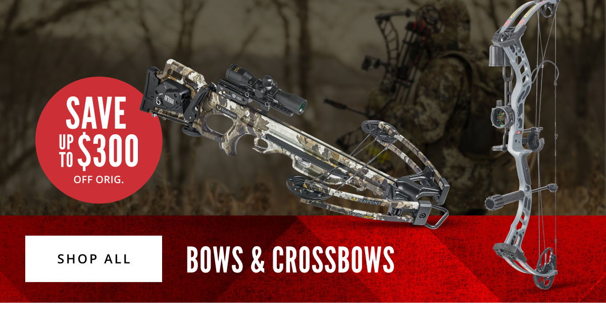 CLUB Member Monday (Final Hours) + Categories