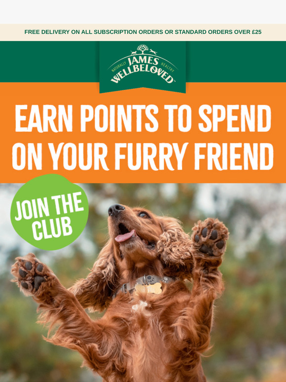 Spend & earn points this Black Friday!