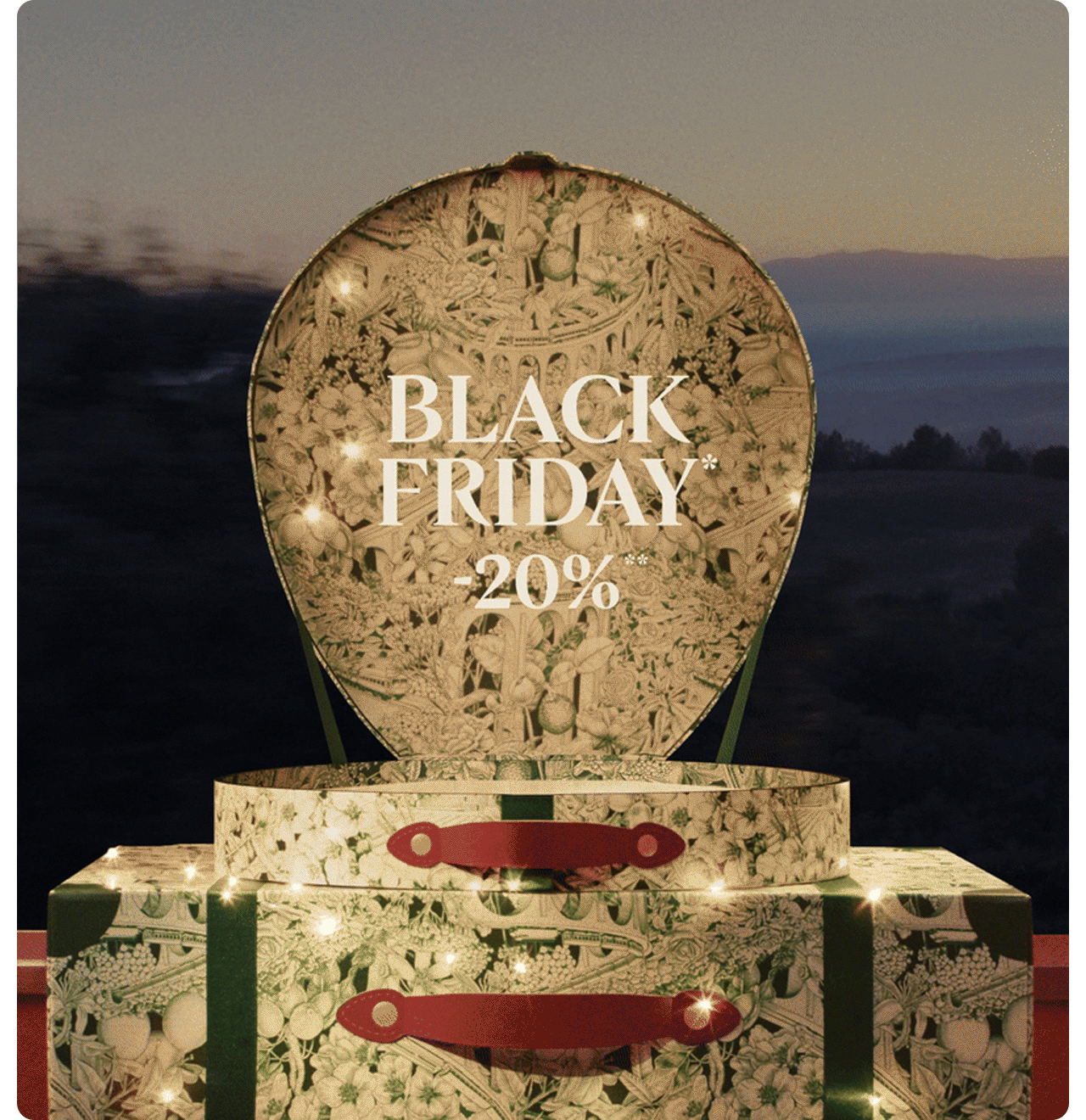 Black friday* à -20%**