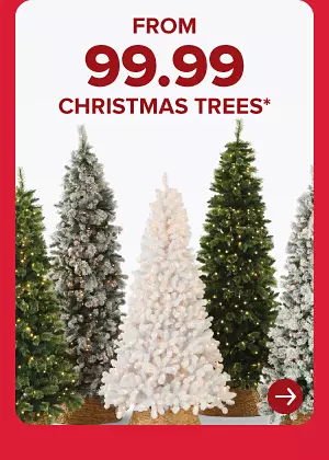 A variety of Christmas trees. From 99.99 Christmas trees.