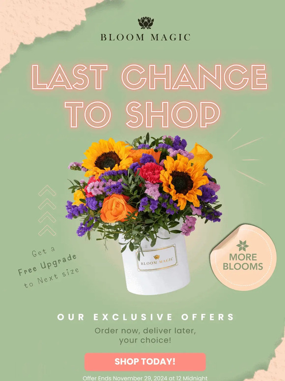 LAST CHANCE TO SHOP 🌷
