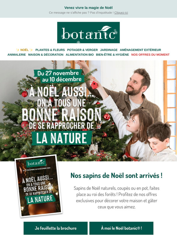 Craquez pour votre sapin de Noël 🎄