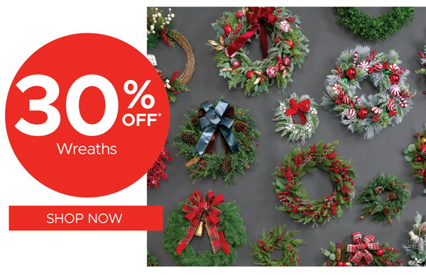 Outdoor Christmas Decor